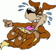 IMG_1855.gif