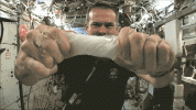 1000019166.gif