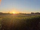 20260419_195633.jpg