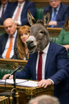 donkeystarmer.png
