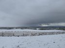 IMG_5218.jpeg