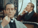 IMG_0500.gif