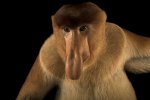 IMG_1412.jpeg