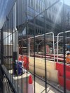 IMG_0704.jpeg