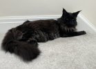 IMG_1325.jpeg