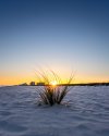 20260502 - Sunset.jpg