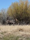 IMG_3636.jpeg