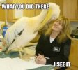 IMG_4297.jpeg