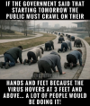 1778332115065.png