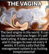 1778517910164.png
