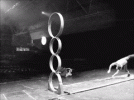 1778673848849.gif