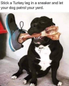 1779344570753.png
