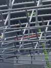 IMG_1686.jpeg