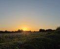 20260524_205330.jpg