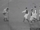 1000037102.gif
