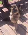 1780167757375.gif