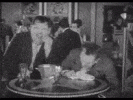 BrightFixedChafer-max-1mb.gif