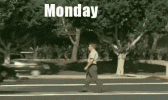 monday.gif