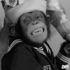 1780860736617.gif