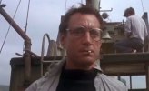 jaws-brody-e1535724027133.jpg