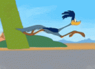 road-runner-gif.gif
