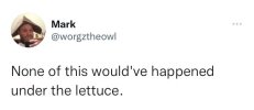 hat-mark-worgztheowl-none-this-wouldve-happened-under-lettuce.jpeg