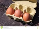 three-eggs-yellow-box-large-recycled-paving-outside-sunlight-diagonal-composition-71428023.jpg three-eggs-yellow-box-large-recycled-paving-outside-sunlight-diagonal-composition-71428023.jpg