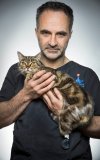 30325705-The-supervet-features_trans_NvBQzQNjv4Bq8ui5uOLuLkHhHby5wW0TihF6XSLHWRR1KBGcH5m3wzM.jpg