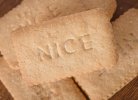 nice-biscuits-1.jpg