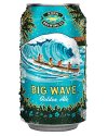 kona_big_wave.jpg