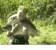 fish-break-free.gif